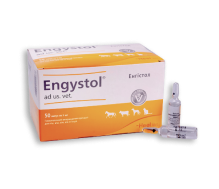 engistol