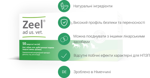 traumel