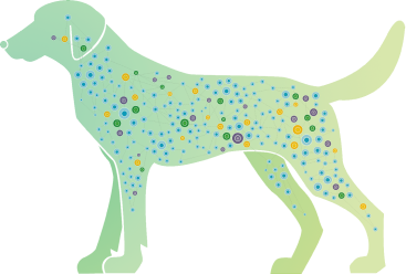 green-dog