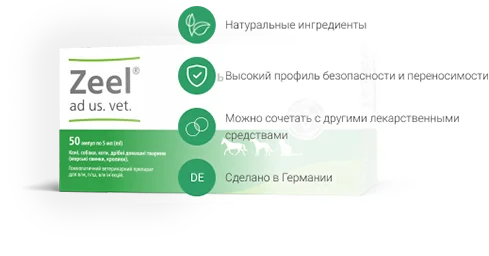 traumel